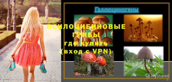 не бодяженный Нязепетровск