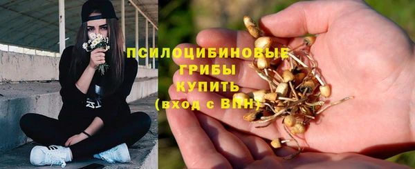 синтетический гашиш Осинники
