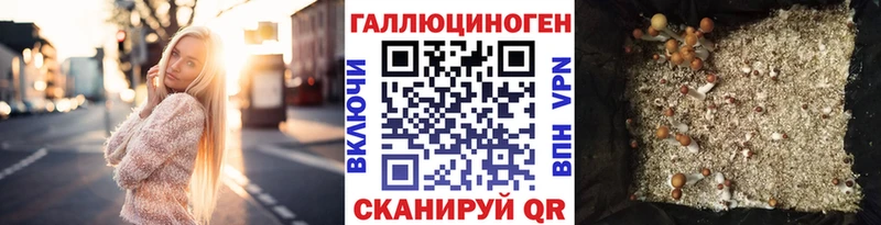 Галлюциногенные грибы GOLDEN TEACHER  наркота  блэк спрут зеркало  Советская Гавань 